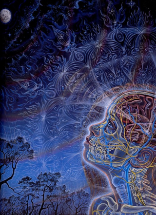 Illustration for article titled How does the Anthropic Principle change the meaning of the universe?